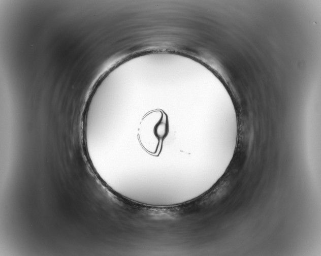 X0000087620807200704271357