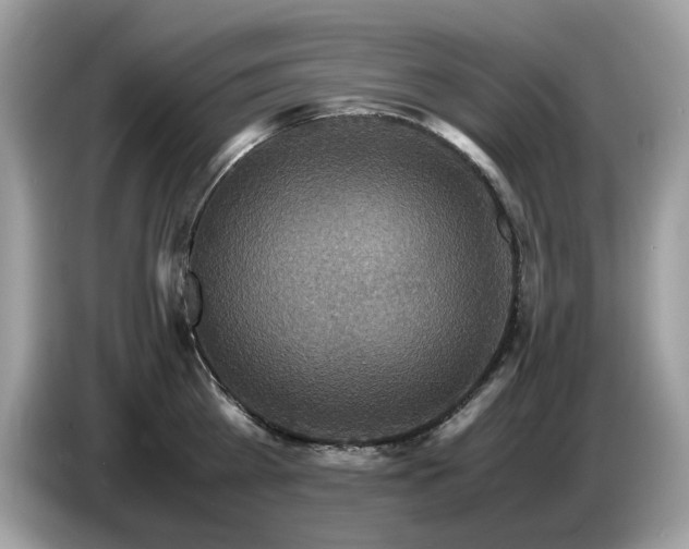 X0000087620809200704271357