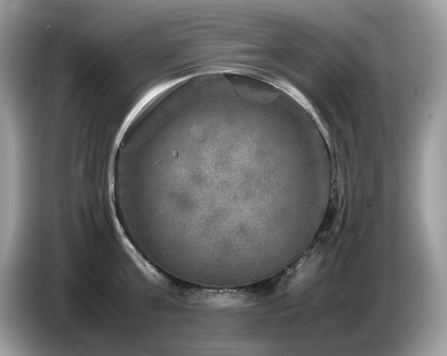 X0000087620811200704271357