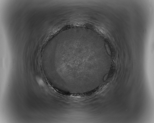 X0000087620817200704271357