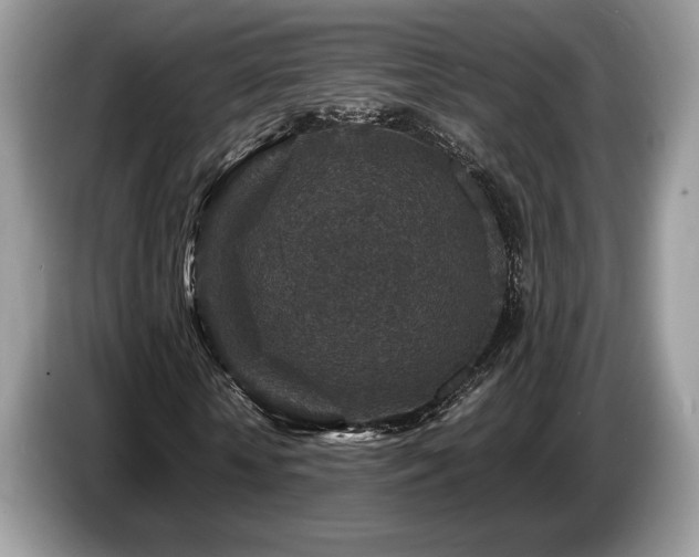 X0000087620818200704271357