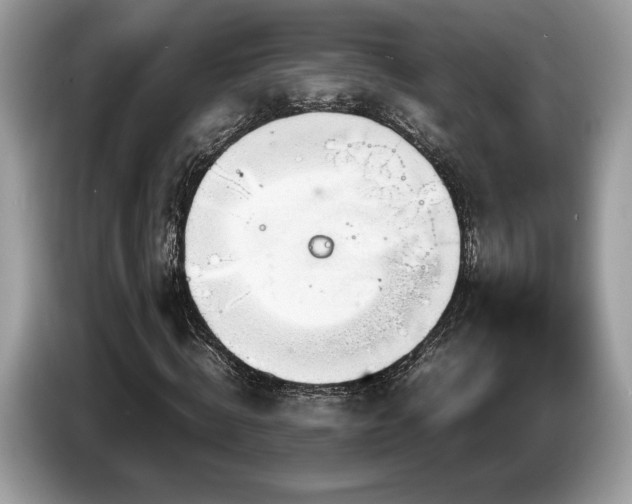 X0000087620820200704271357