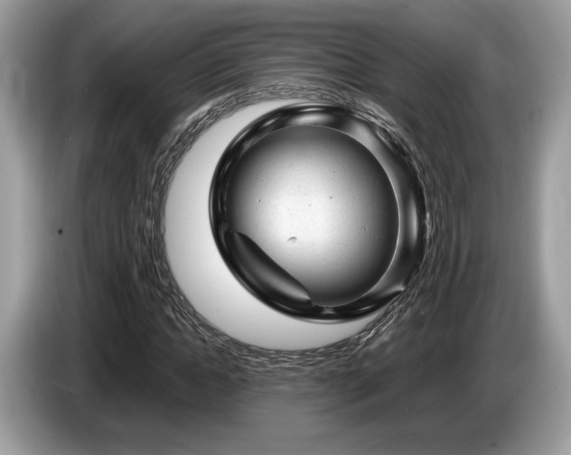 X0000087620822200704271357