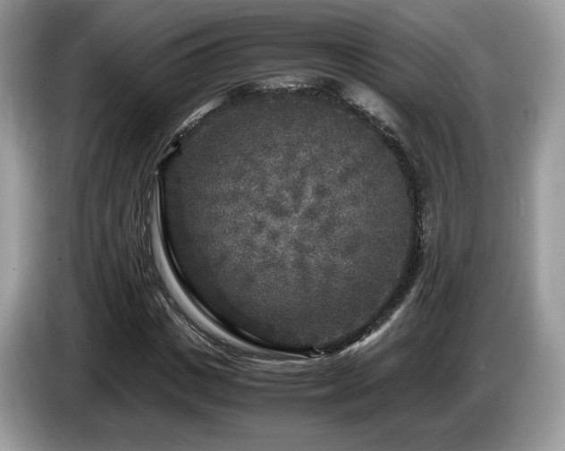 X0000087620825200704271357