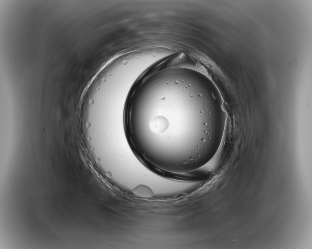 X0000087620828200704271357