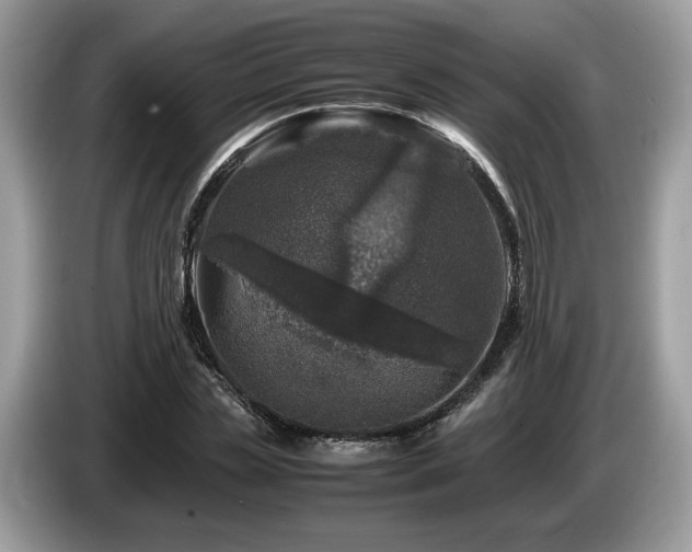 X0000087620829200704271357