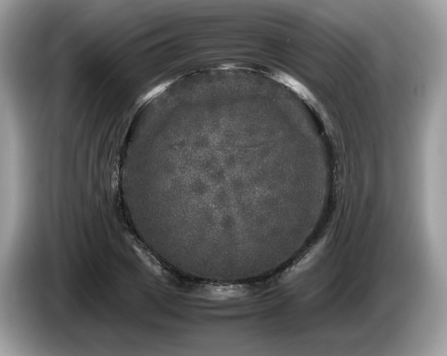 X0000087620833200704271357