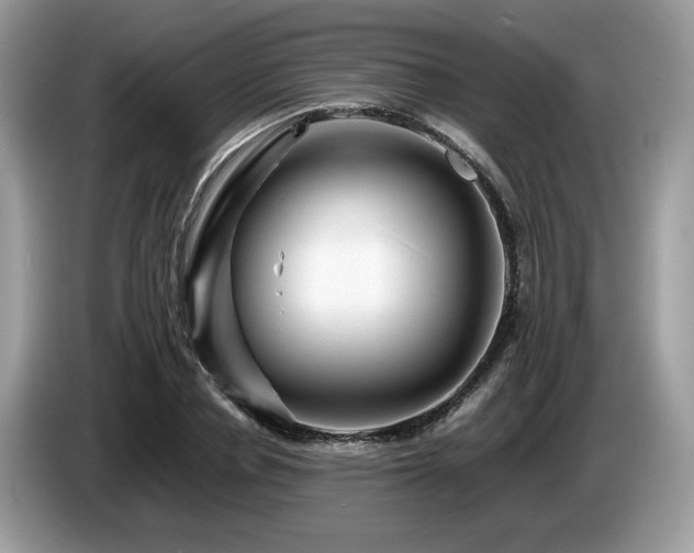 X0000087620834200704271357