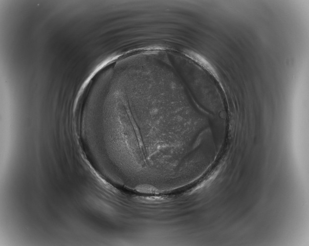 X0000087620835200704271357