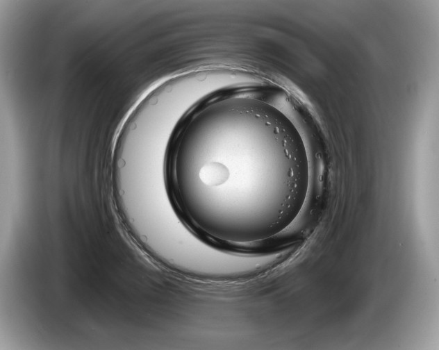 X0000087620836200704271357