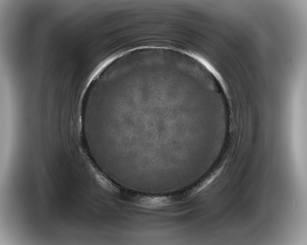 X0000087620837200704271357