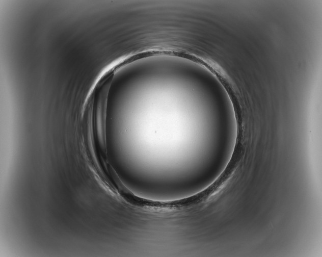 X0000087620838200704271357
