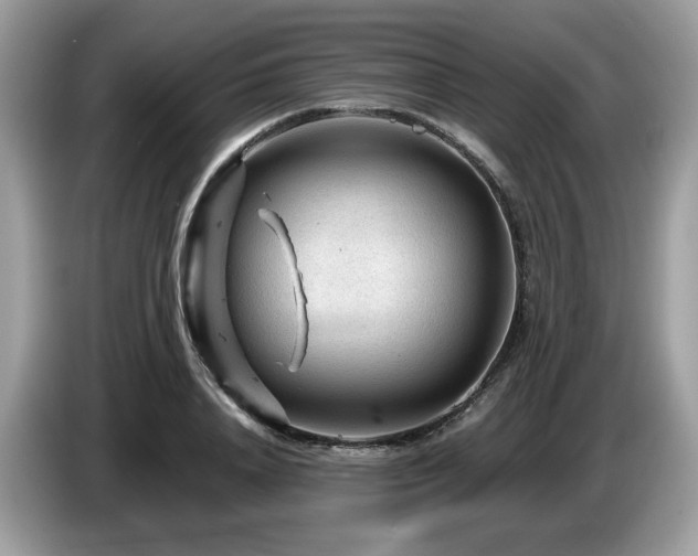 X0000087620840200704271357