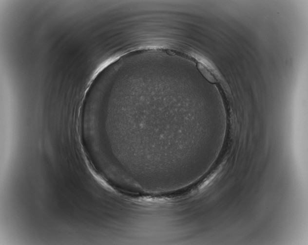 X0000087620842200704271357