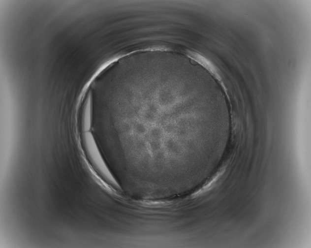 X0000087620843200704271357