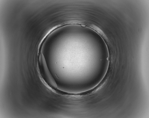 X0000087620844200704271357