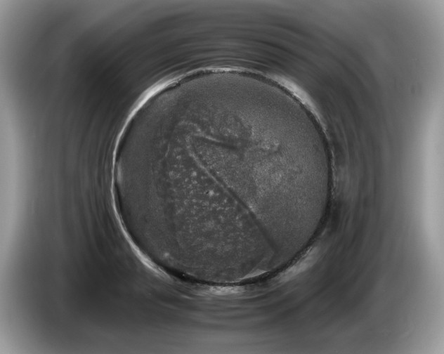 X0000087620845200704271357