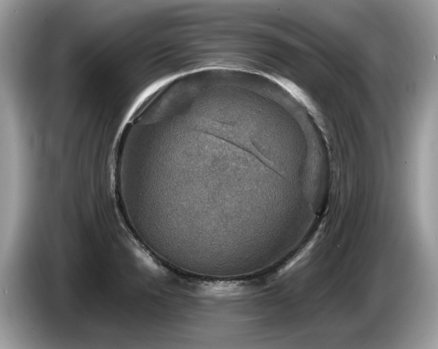 X0000087620846200704271357