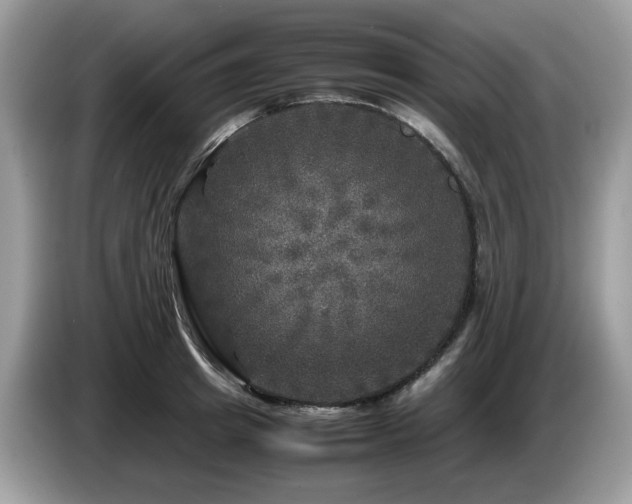 X0000087620849200704271357