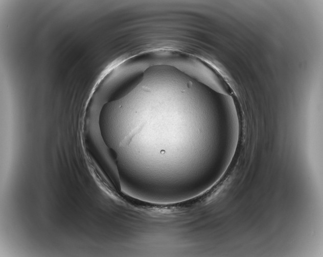 X0000087620850200704271357