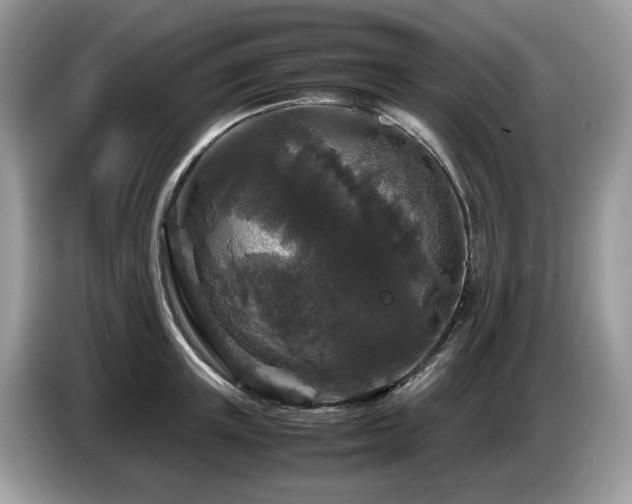 X0000087620851200704271357