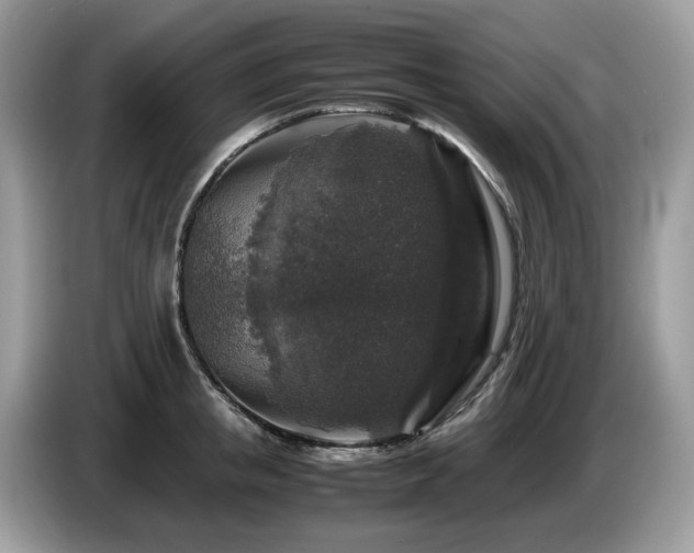 X0000087620853200704271357