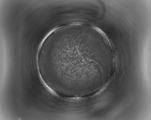X0000087620859200704271357