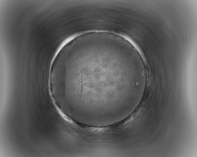 X0000087620861200704271357