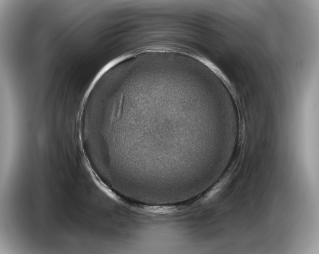 X0000087620862200704271357