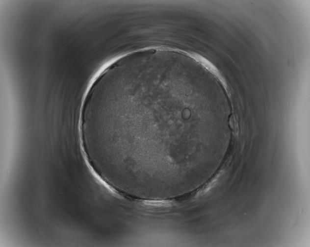 X0000087620863200704271357