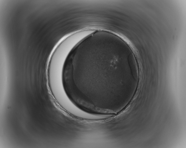X0000087620864200704271357