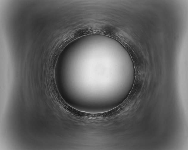 X0000087620865200704271357