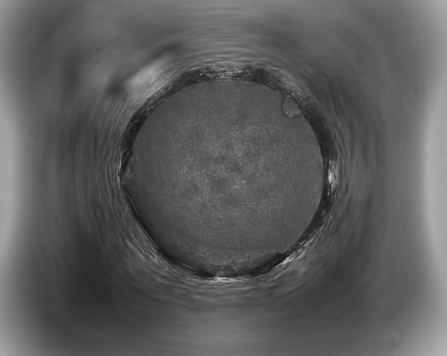 X0000087620867200704271357