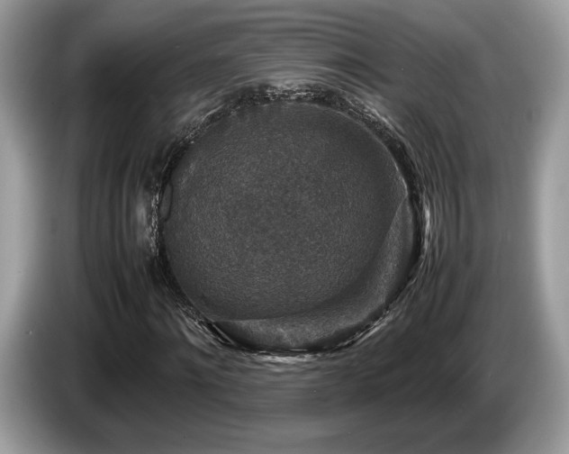 X0000087620868200704271357