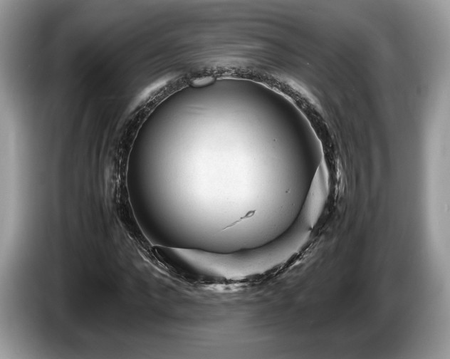 X0000087620872200704271356