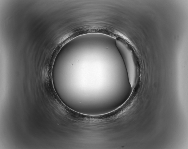 X0000087620873200704271356