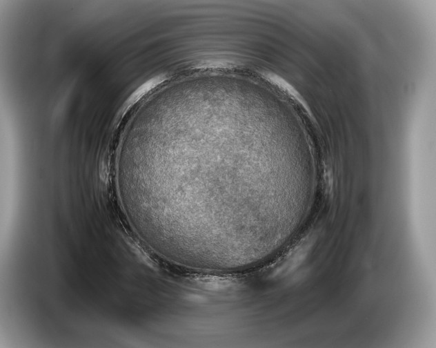 X0000087620874200704271356
