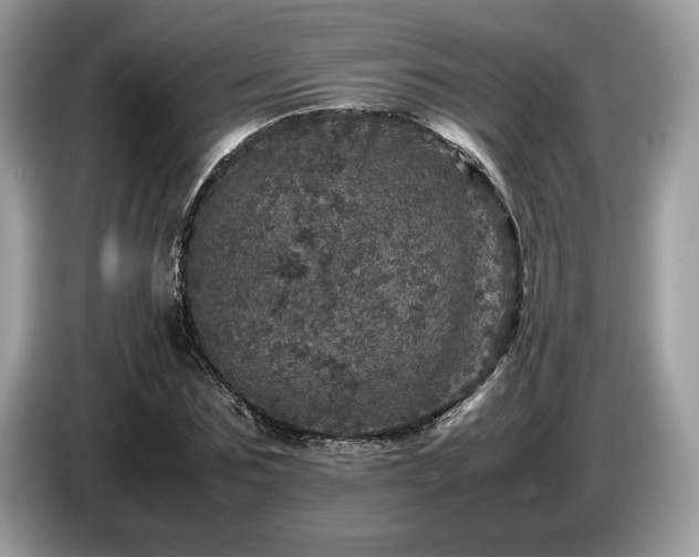 X0000087620875200704271356