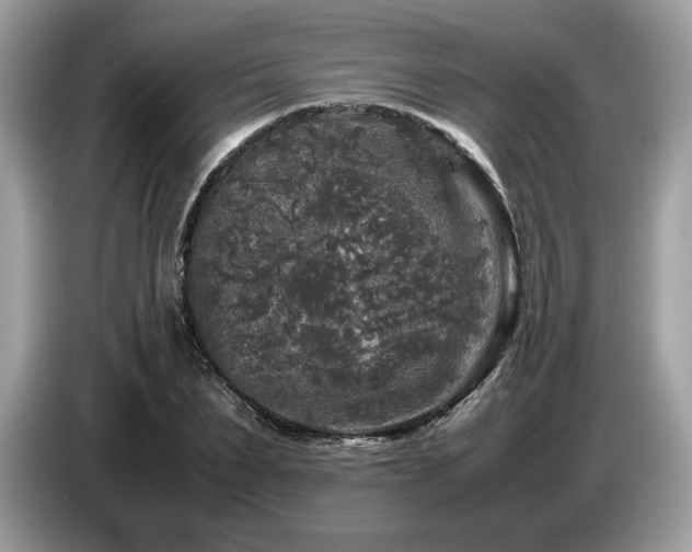 X0000087620879200704271356