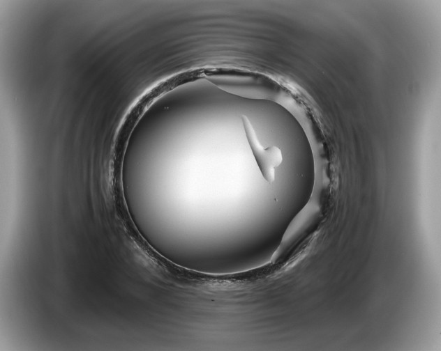 X0000087620880200704271356