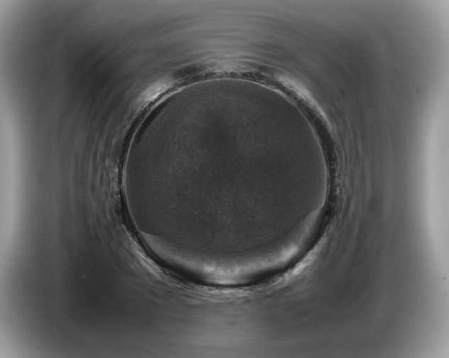 X0000087620881200704271356