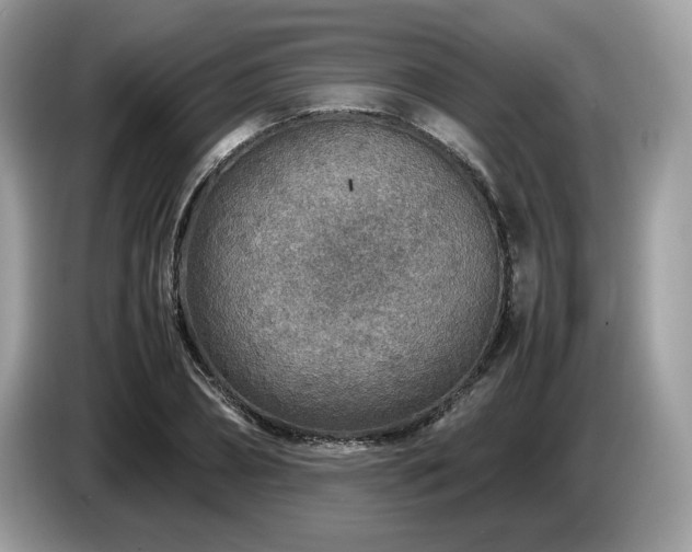 X0000087620882200704271356