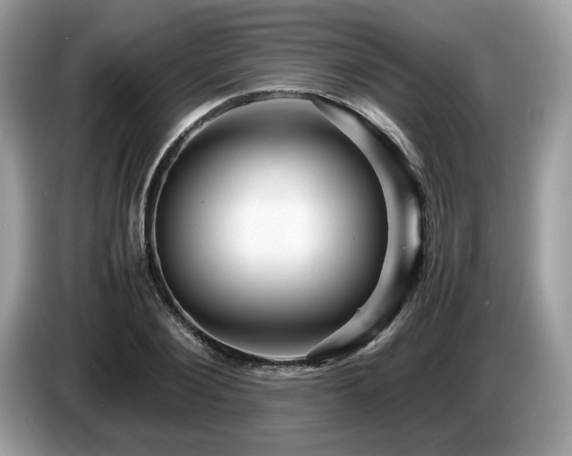 X0000087620884200704271356