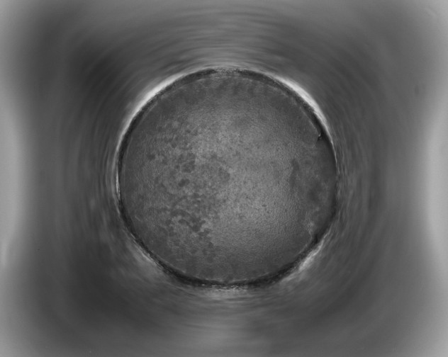 X0000087620887200704271356