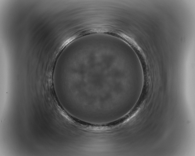 X0000087620889200704271356