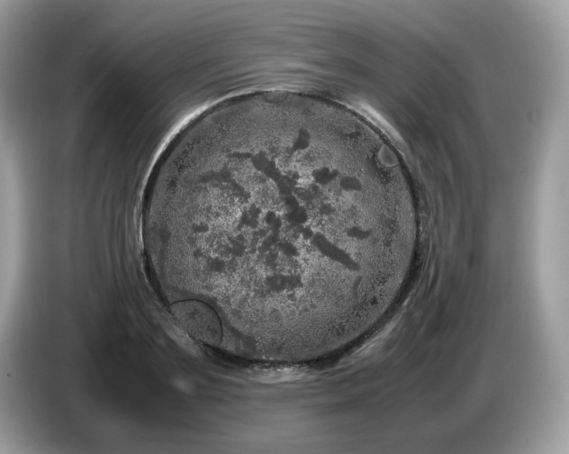 X0000087620891200704271356