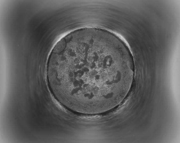 X0000087620895200704271356
