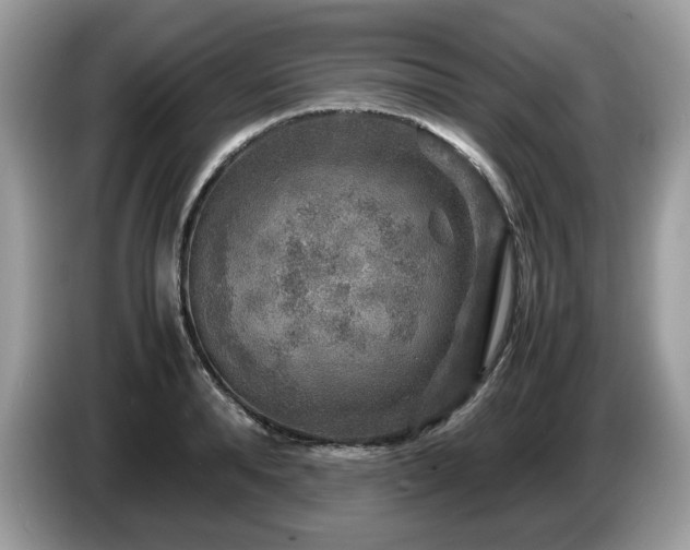 X0000087620896200704271356