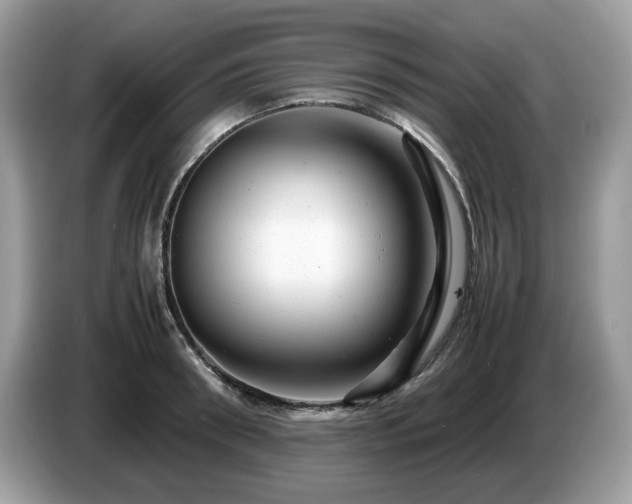 X0000087620898200704271356