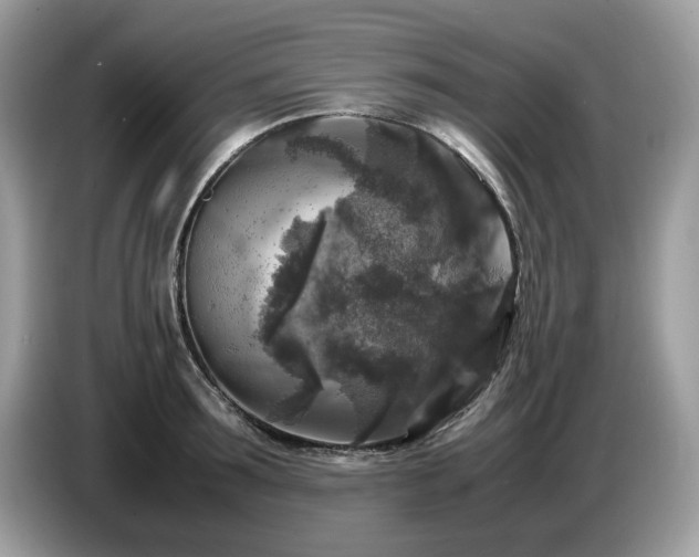 X0000087620899200704271356
